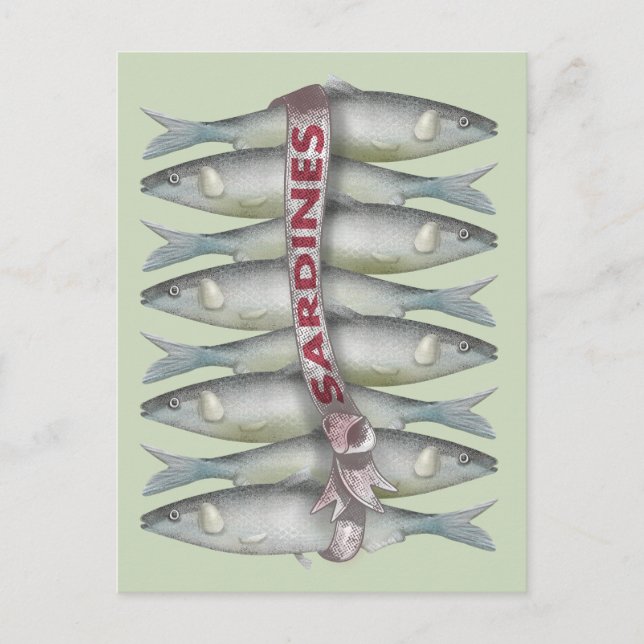 Carte Postale Sardines fraîches (Devant)
