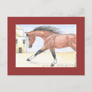 Carte Postale "Saree bint Sehkit"