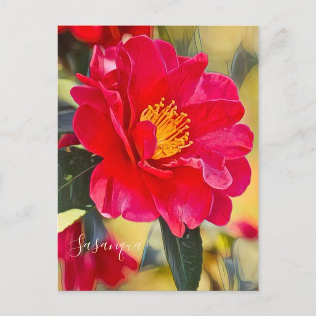 Carte Postale Sasanqua [Postcard] (Devant)