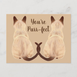 Carte Postale Sasha Siamese Amoureux des chats Back View Vous êt