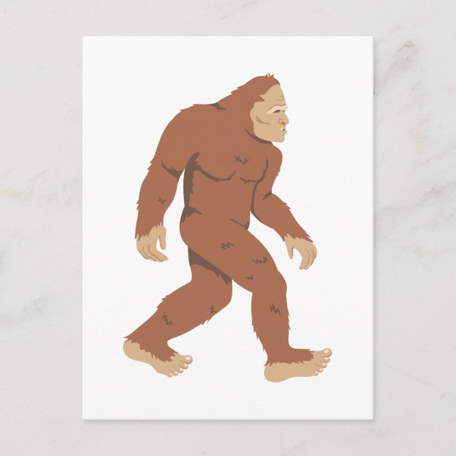 Carte Postale Sasquatch (Devant)