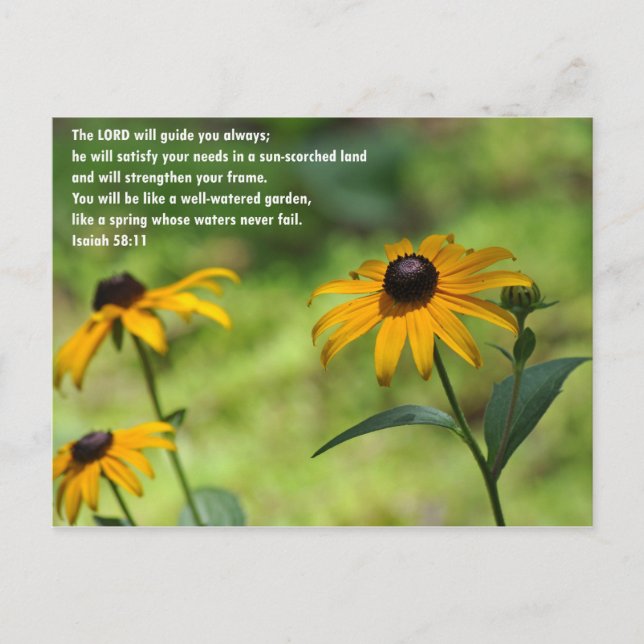 Carte Postale Satisfaction dans une terre ensoleillée (Devant)