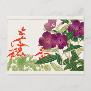 Carte Postale Sauge écarlate, Melastoma par Tanigami Konan