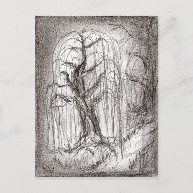 Carte Postale Saule pleurant (Devant)