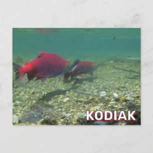 Carte Postale Saumon De Sockeye À Kodiak, Alaska