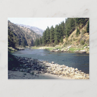 Carte Postale Saumon River Été