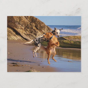 Carte Postale Sauter de joie !