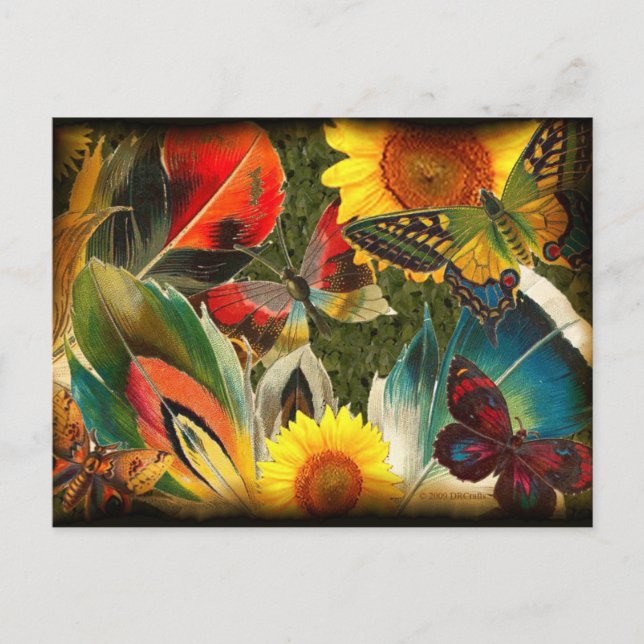 Carte Postale Sauvage avec bord (Devant)