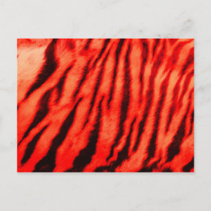 Carte Postale Sauvages et vibrants rayures de tigre rouge