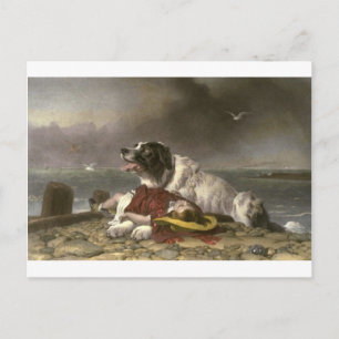 Carte Postale Sauvé par Edwin Henry Landseer