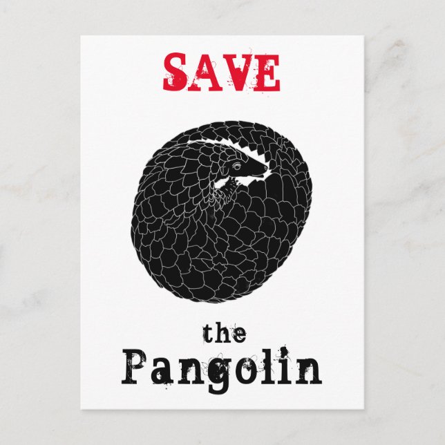 Carte Postale Sauver Pangolin Espèces en voie de disparition Ani (Devant)