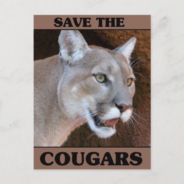 Carte Postale Sauvez le Cougar (Devant)