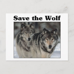Carte Postale Sauvez le loup