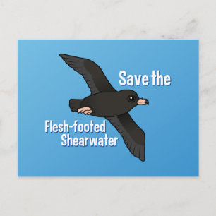 Carte Postale Sauvez l'eau de l'eau de l'estomac à pieds de chai