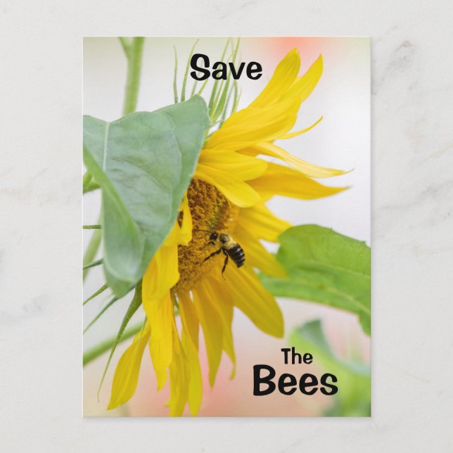 Carte Postale Sauvez Les Abeilles (Devant)