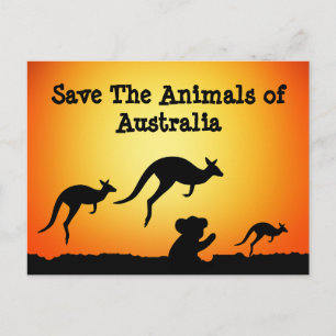 Carte Postale Sauvez les animaux d'Australie