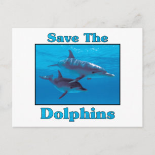Carte Postale Sauvez les dauphins