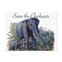 Sauvez les éléphants