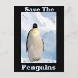 Carte Postale Sauvez les pingouins