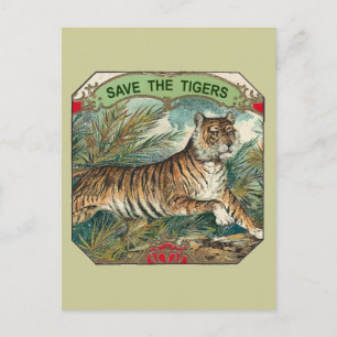 Carte Postale Sauvez Les Tigres