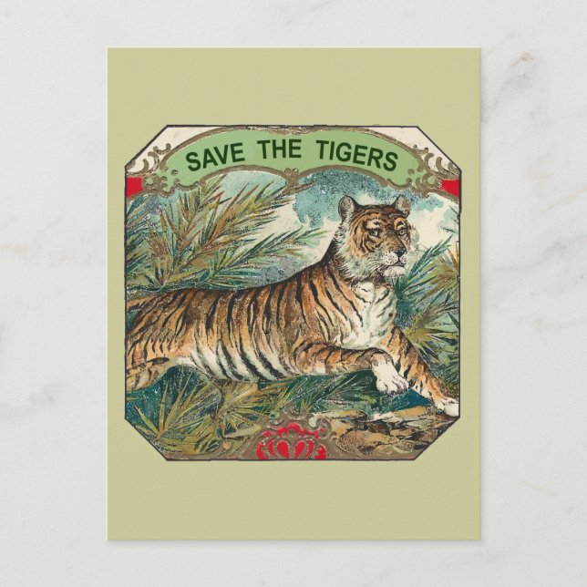 Carte Postale Sauvez Les Tigres (Devant)