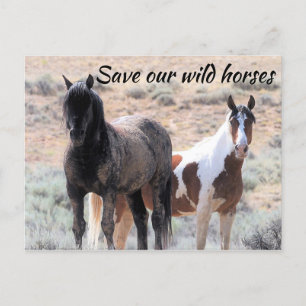 Carte Postale Sauvez nos chevaux sauvages