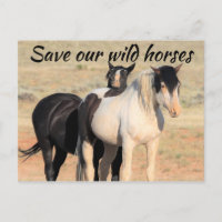 Sauvez nos chevaux sauvages