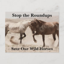 Sauvez nos chevaux sauvages