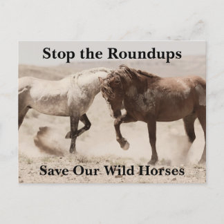 Carte Postale Sauvez nos chevaux sauvages