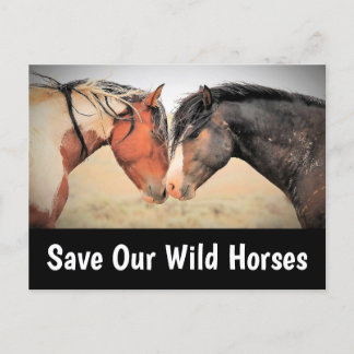 Carte Postale Sauvez nos chevaux sauvages