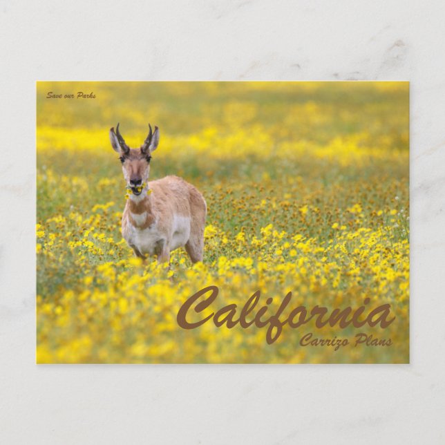 Carte Postale Sauvez nos parcs (Devant)