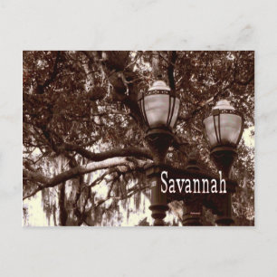 Carte Postale Savannah Georgia