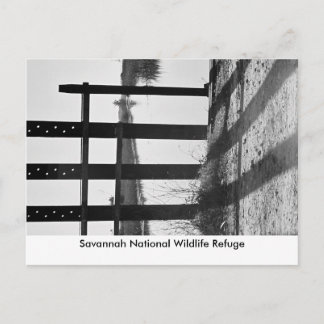 Carte Postale Savannah National Wildlife R...