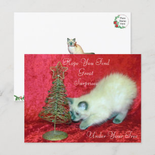 Carte Postale Savannah's Christmas Surprise - Chat balinais
