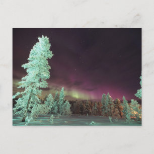 Carte Postale Scandinavie, Finlande, Laponie, Kakslauttanen,