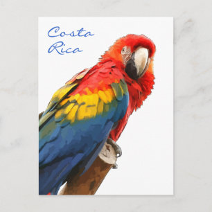Carte postale Scarlet Macaw Costa Rica