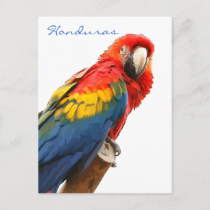 Carte postale Scarlet Macaw Honduras