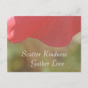 Carte Postale Scatter Kindness Pink Poppy