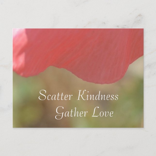 Carte Postale Scatter Kindness Pink Poppy (Devant)