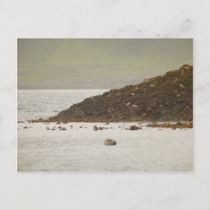 Carte postale Sceau gris