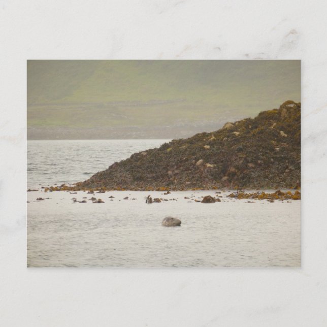 Carte postale Sceau gris (Devant)