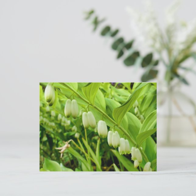 Carte Postale Sceau Solomons (Debout devant)