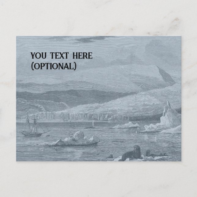 Carte postale Scène Arctique (Devant)