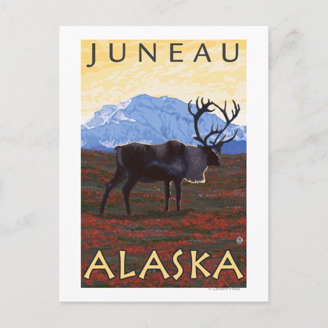 Carte Postale Scène Caribou - Juneau, Alaska (Devant)