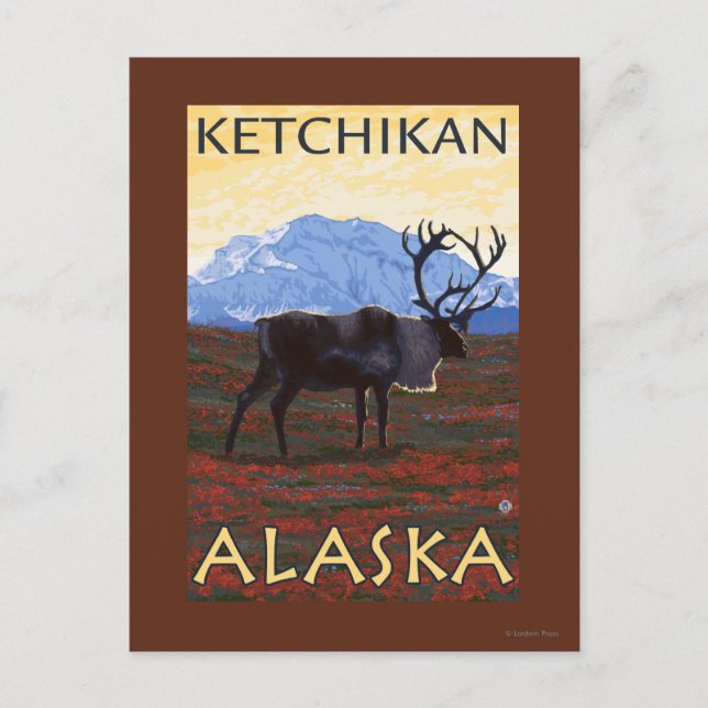 Carte Postale Scène Caribou - Ketchikan, Alaska (Devant)