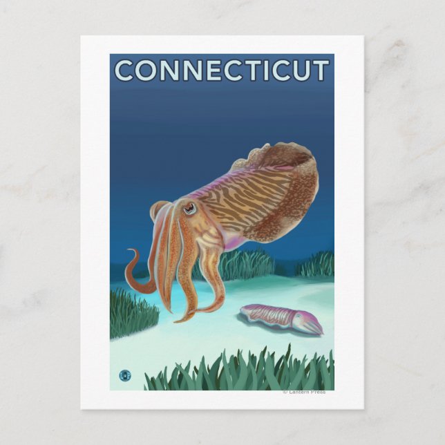 Carte Postale Scène ConnecticutCuttlefish (Devant)