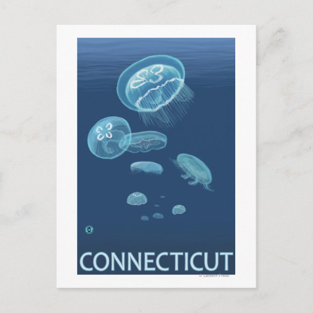 Carte Postale Scène ConnecticutJellyfish (Devant)