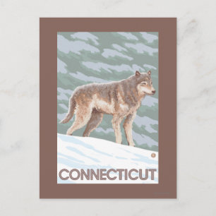 Carte Postale Scène ConnecticutWolf