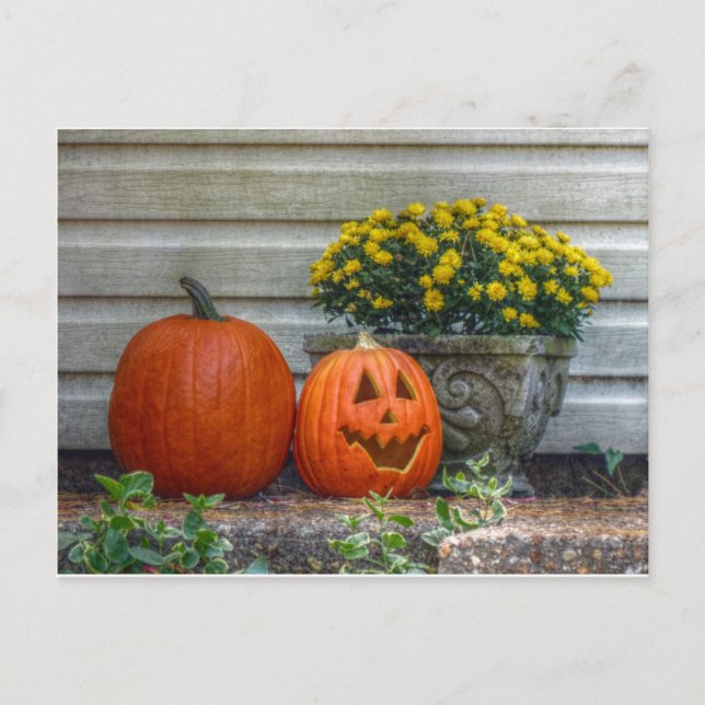 Carte Postale Scène d'automne (Devant)