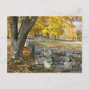 Carte Postale Scène d'automne avec mur d'arbre et de pierre